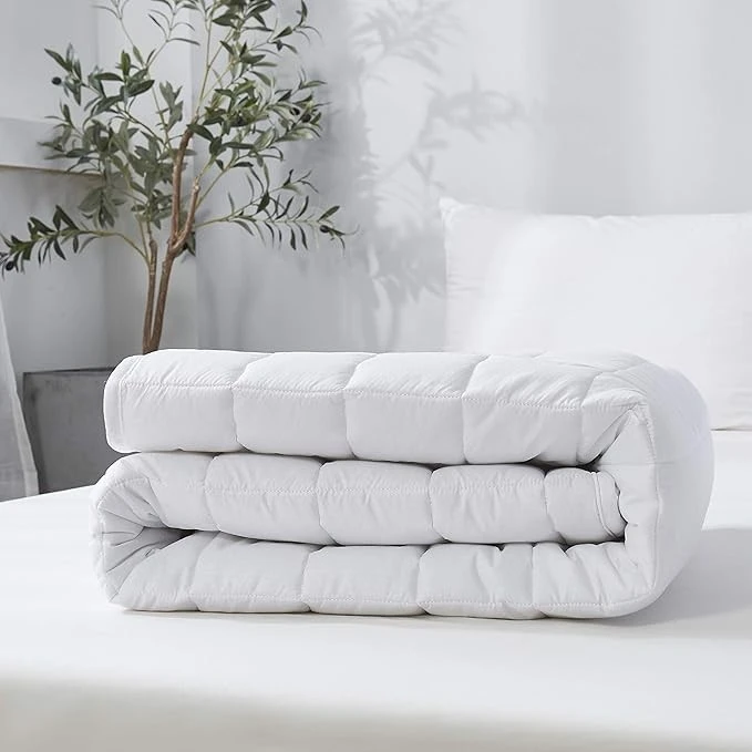 Twin Microfiber Mattress Protector best